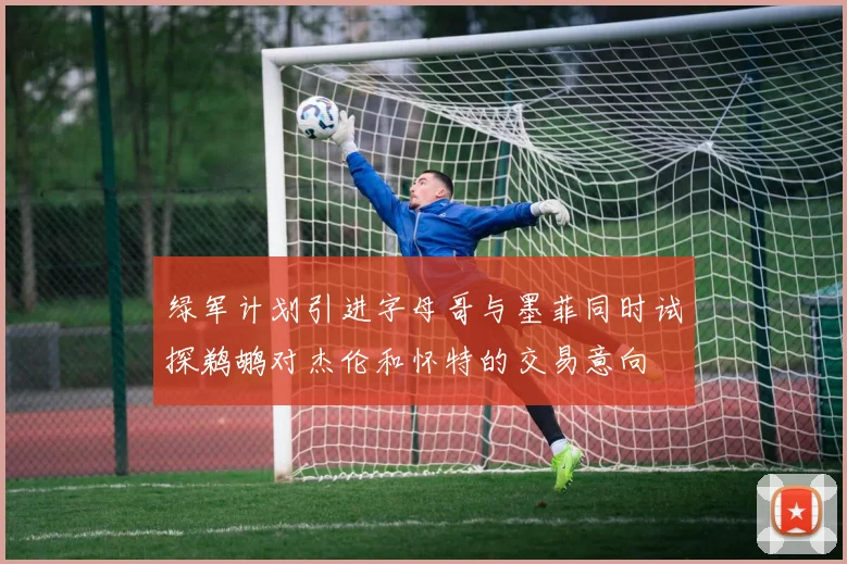 绿军计划引进字母哥与墨菲同时试探鹈鹕对杰伦和怀特的交易意向