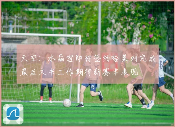 天空：水晶宫即将签约哈莱利完成最后文书工作期待新赛季表现