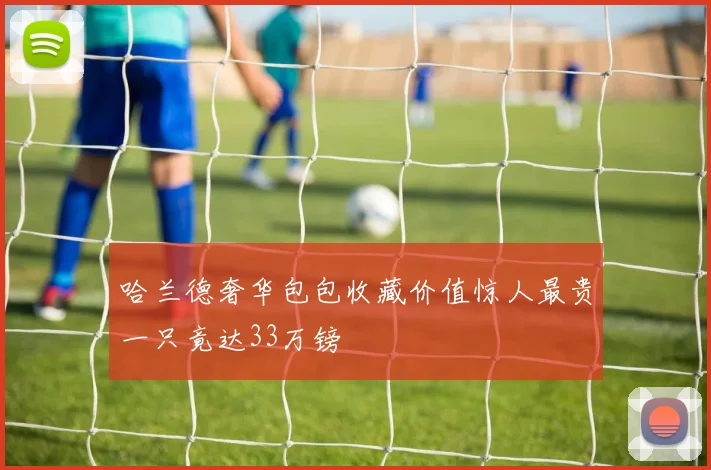 哈兰德奢华包包收藏价值惊人最贵一只竟达33万镑